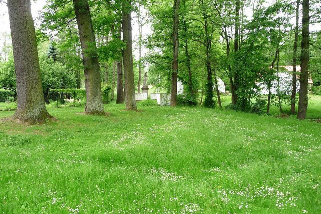 Chalupa U Kolcavy Volenice  Buitenkant foto